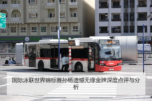 国际泳联世界锦标赛孙杨遗憾无缘金牌深度点评与分析