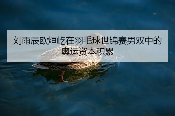 刘雨辰欧烜屹在羽毛球世锦赛男双中的奥运资本积累